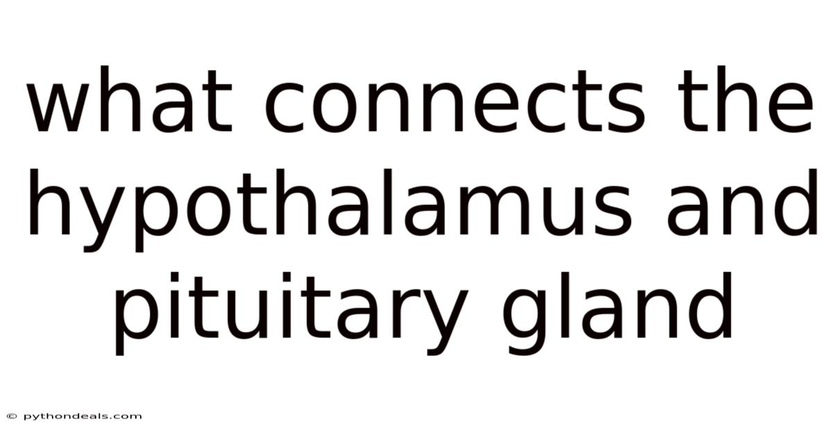 What Connects The Hypothalamus And Pituitary Gland