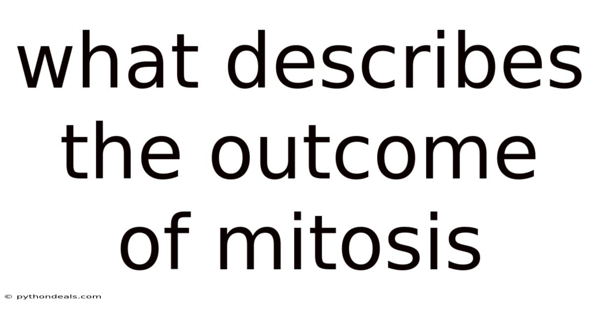 What Describes The Outcome Of Mitosis