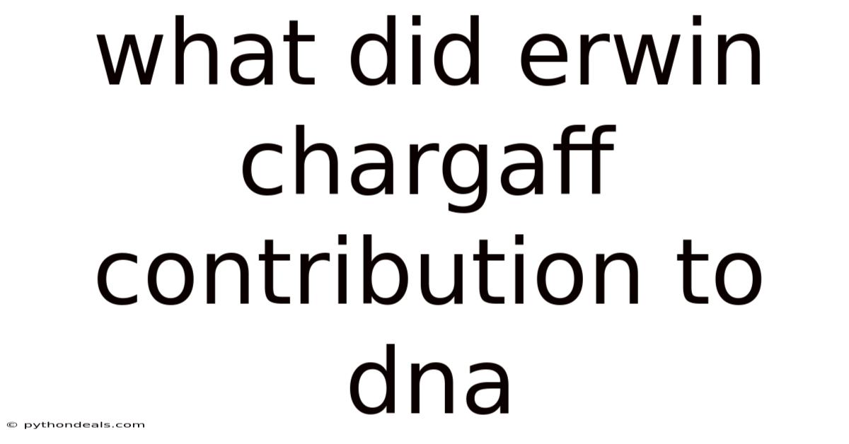 What Did Erwin Chargaff Contribution To Dna