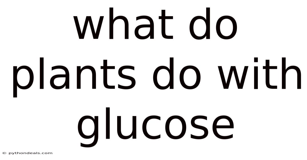 What Do Plants Do With Glucose