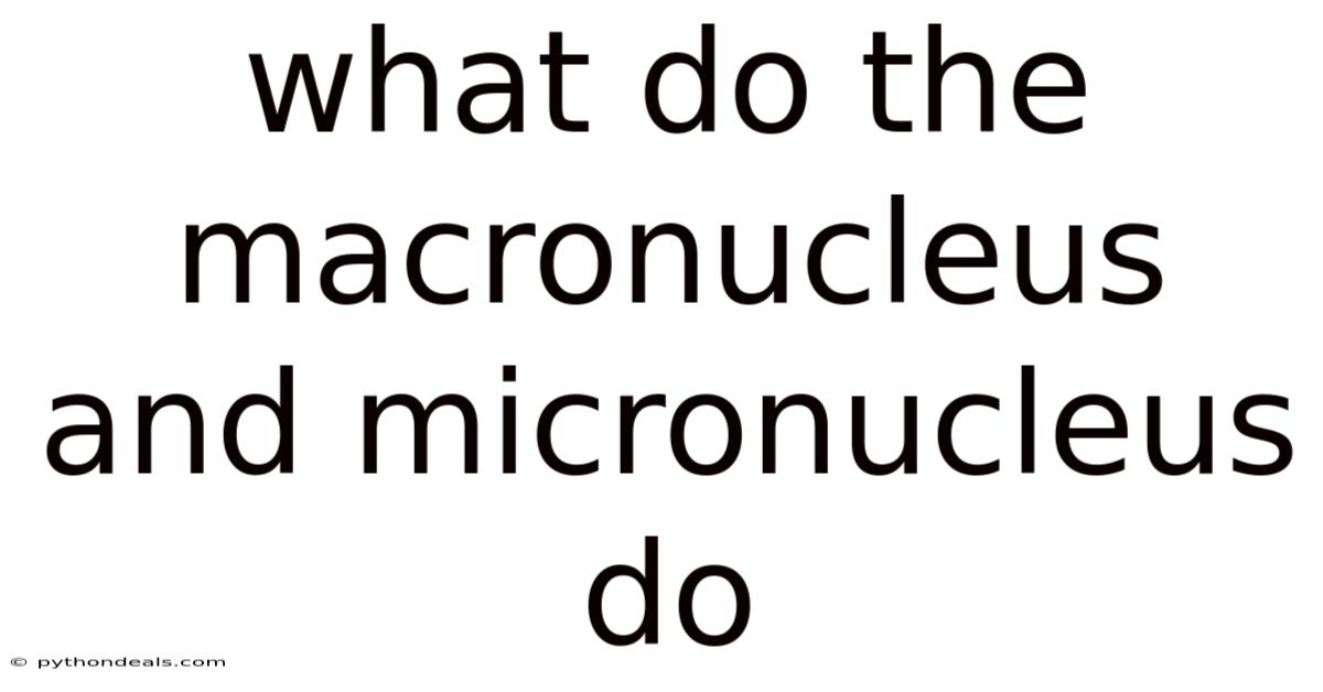 What Do The Macronucleus And Micronucleus Do