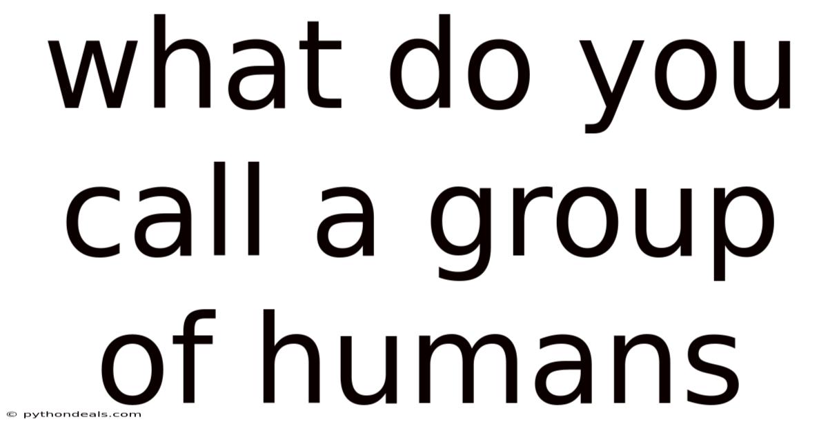 What Do You Call A Group Of Humans