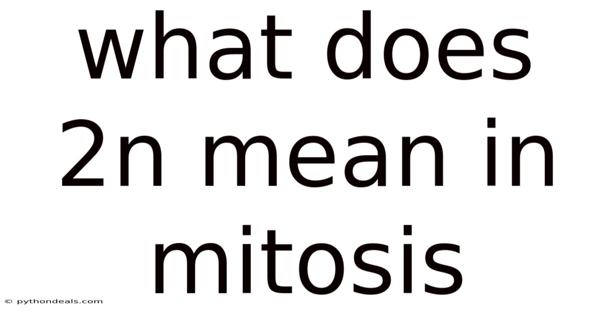 What Does 2n Mean In Mitosis