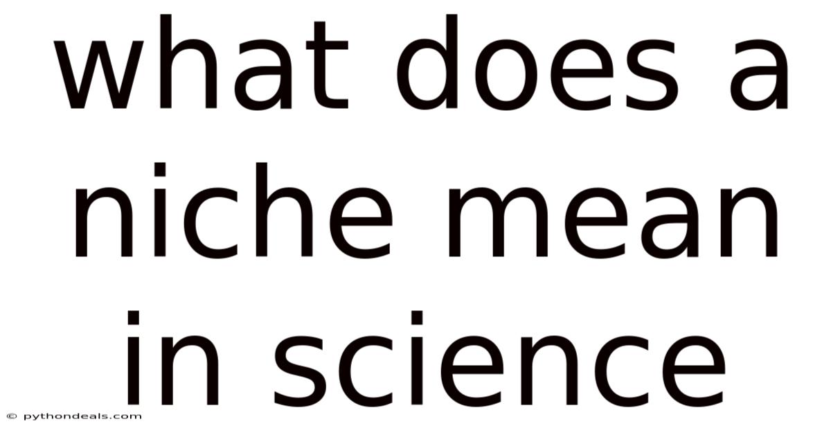 What Does A Niche Mean In Science