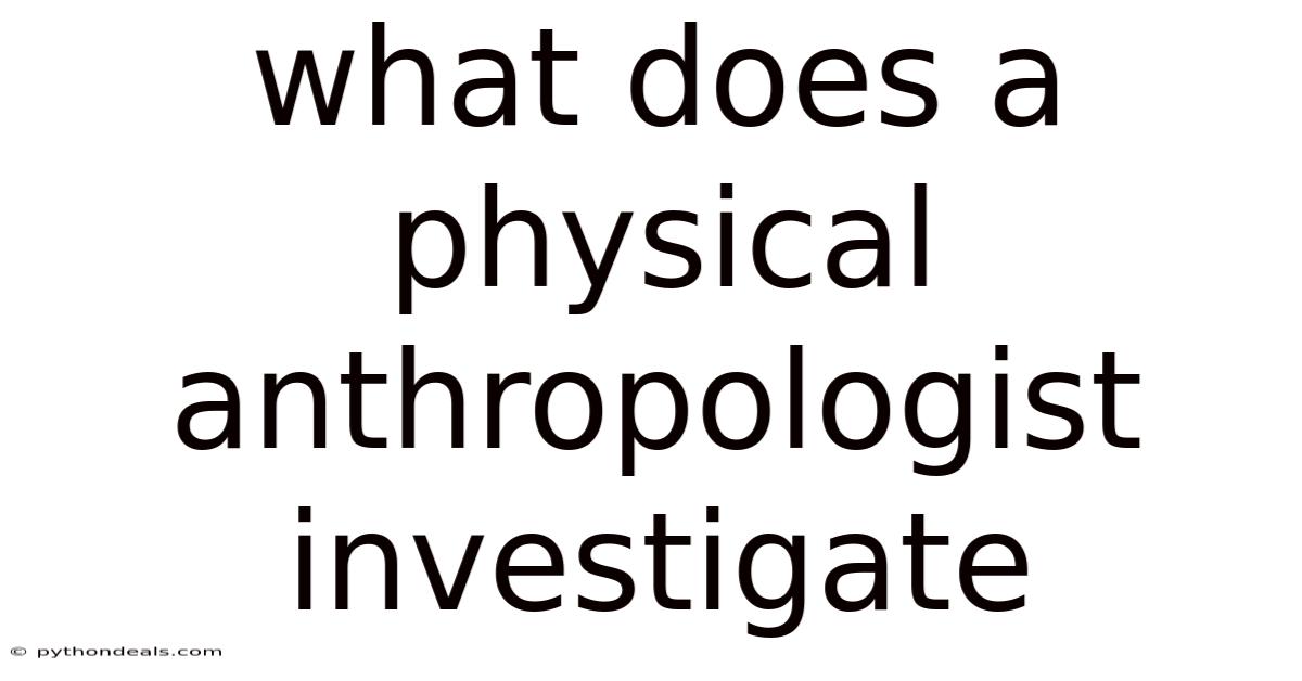 What Does A Physical Anthropologist Investigate