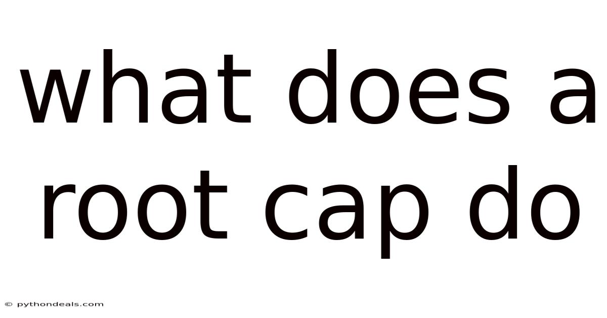 What Does A Root Cap Do