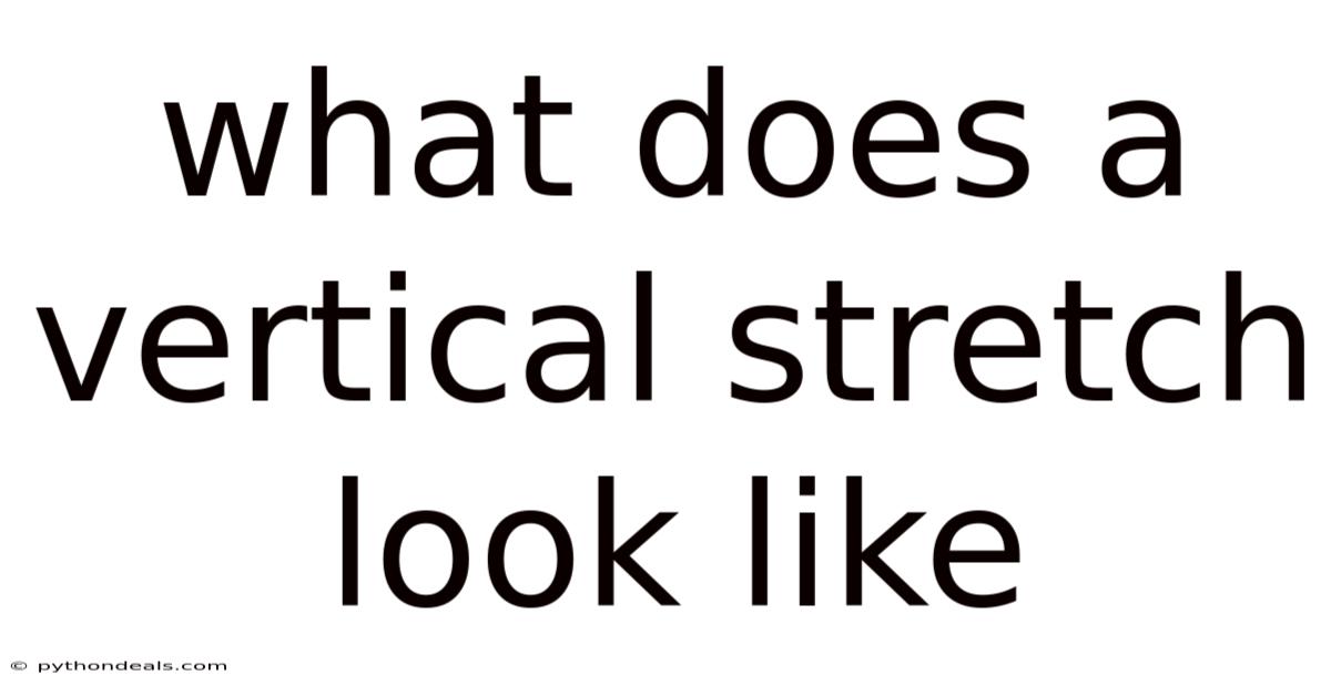What Does A Vertical Stretch Look Like
