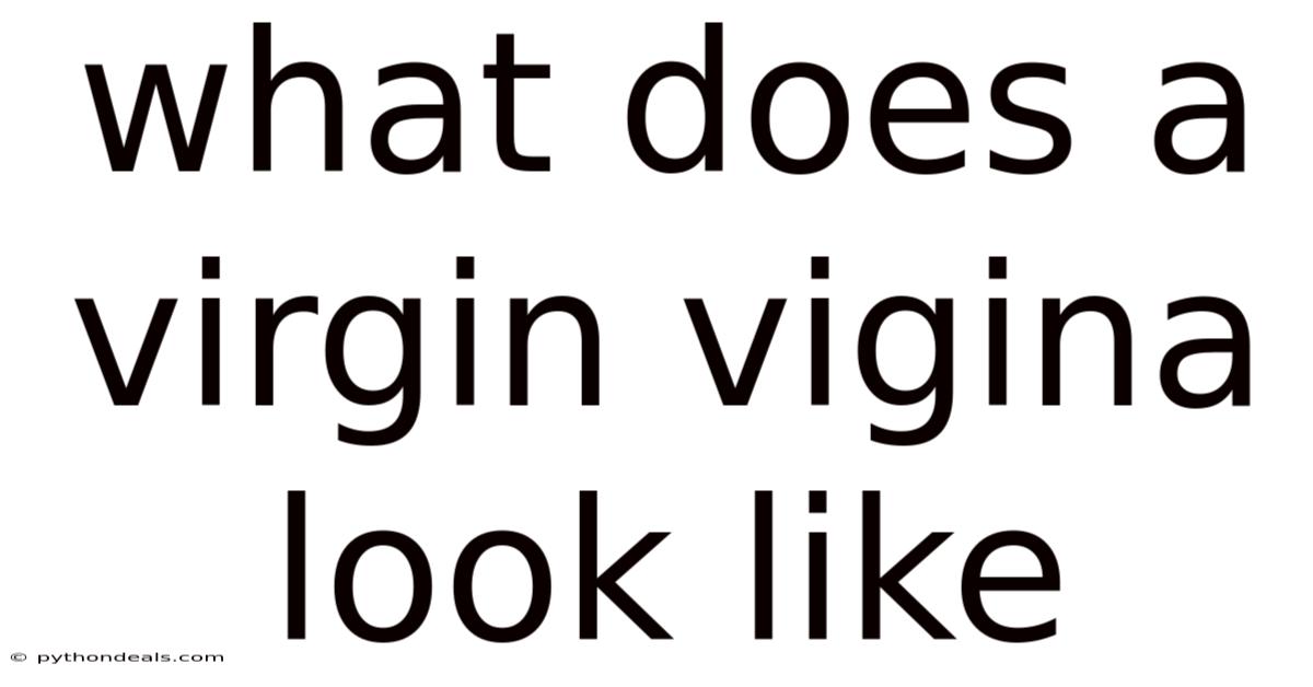What Does A Virgin Vigina Look Like
