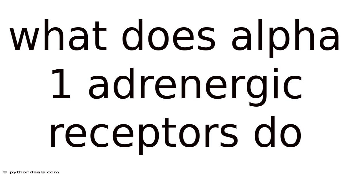 What Does Alpha 1 Adrenergic Receptors Do