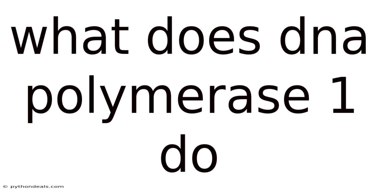 What Does Dna Polymerase 1 Do
