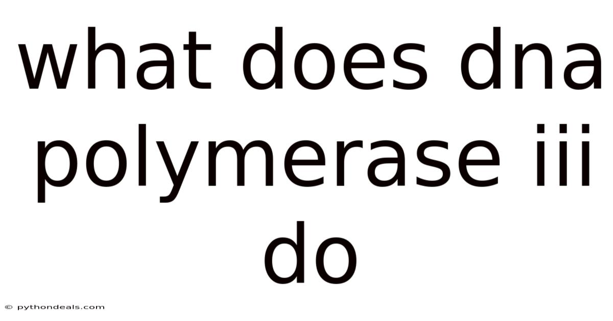What Does Dna Polymerase Iii Do