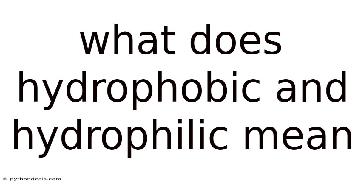 What Does Hydrophobic And Hydrophilic Mean