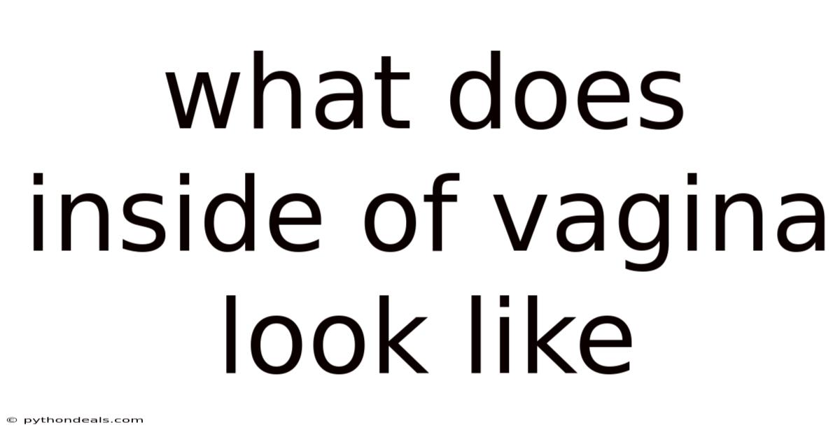 What Does Inside Of Vagina Look Like