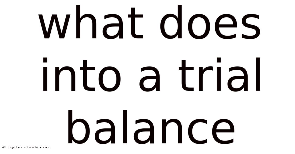 What Does Into A Trial Balance