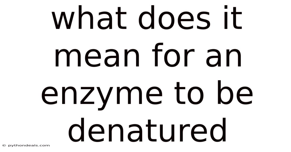 What Does It Mean For An Enzyme To Be Denatured