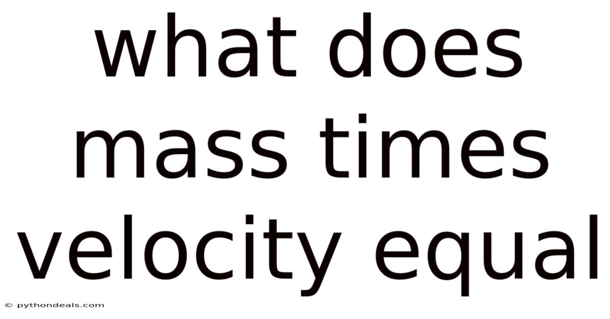 What Does Mass Times Velocity Equal