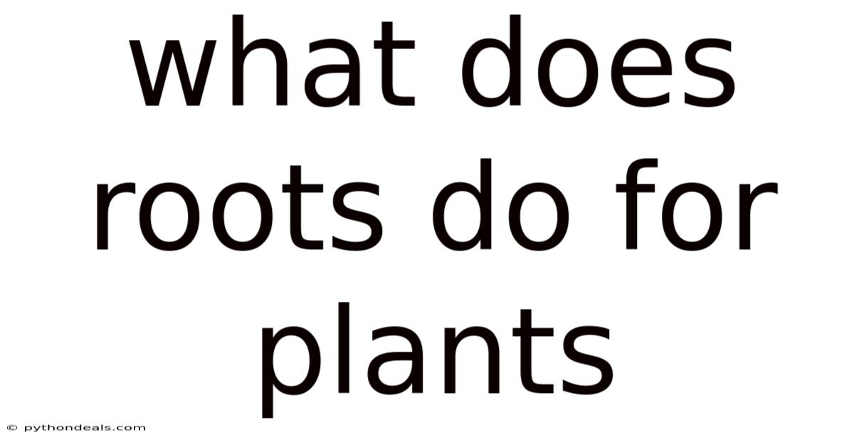 What Does Roots Do For Plants