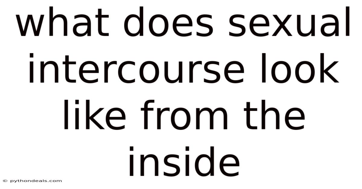 What Does Sexual Intercourse Look Like From The Inside