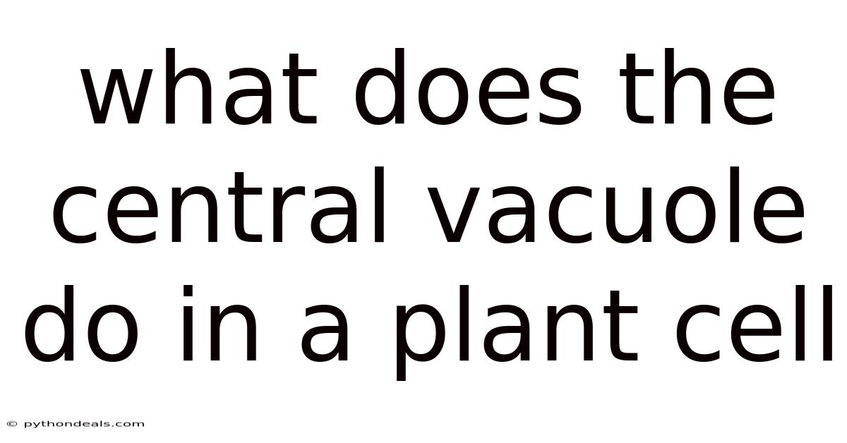 What Does The Central Vacuole Do In A Plant Cell