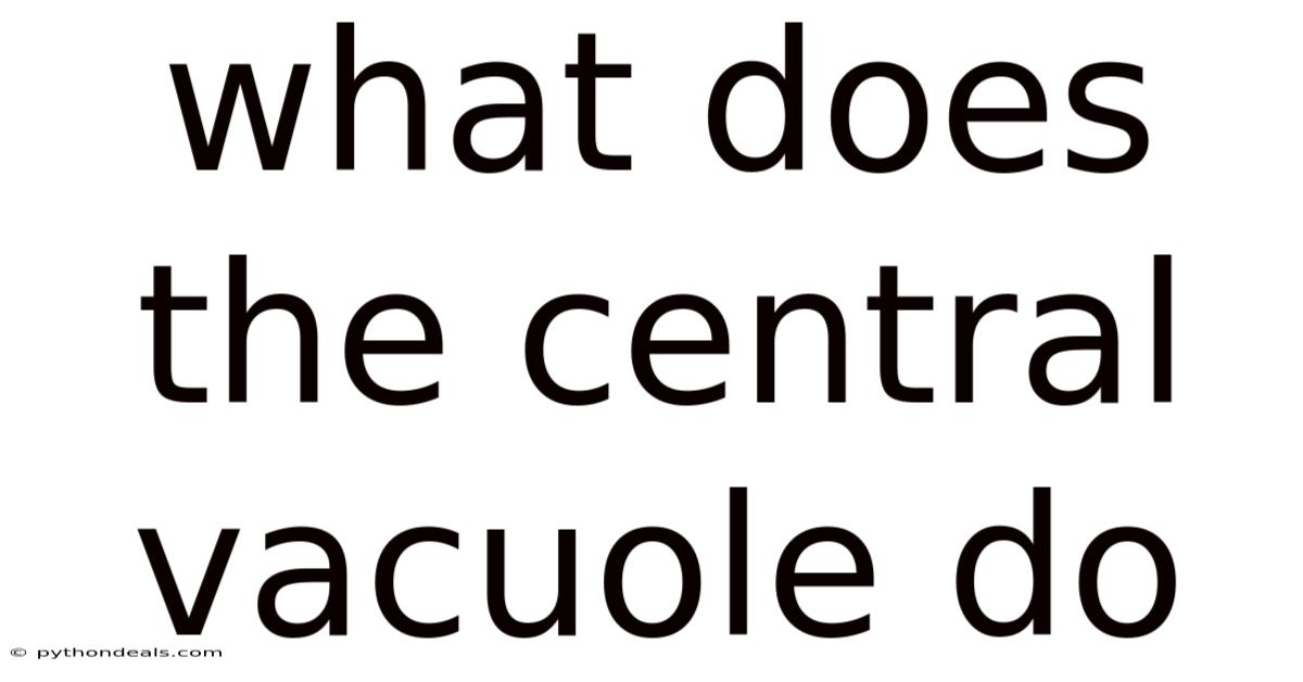 What Does The Central Vacuole Do