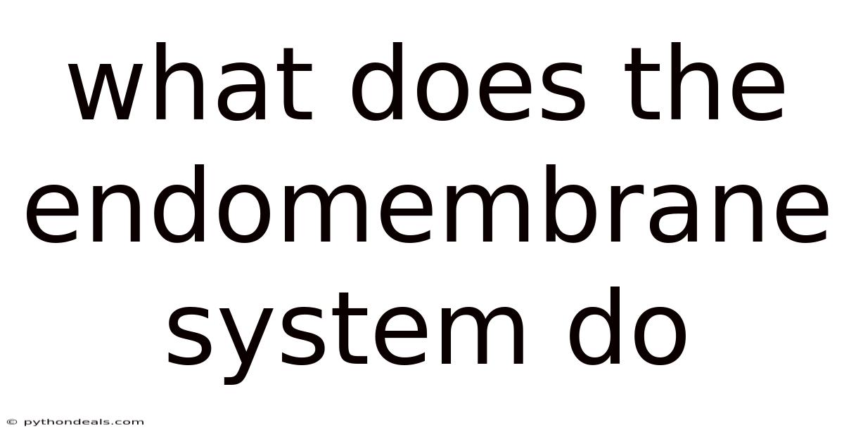 What Does The Endomembrane System Do