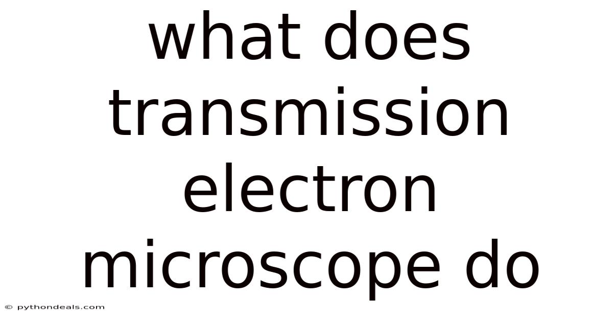 What Does Transmission Electron Microscope Do