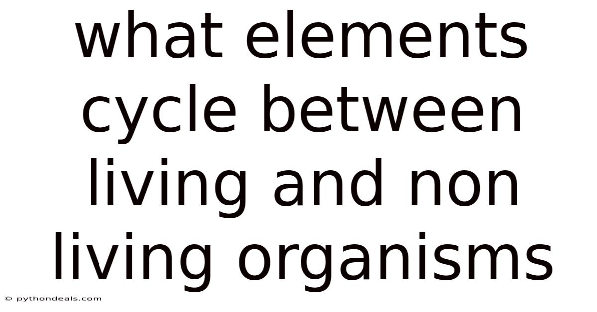 What Elements Cycle Between Living And Non Living Organisms