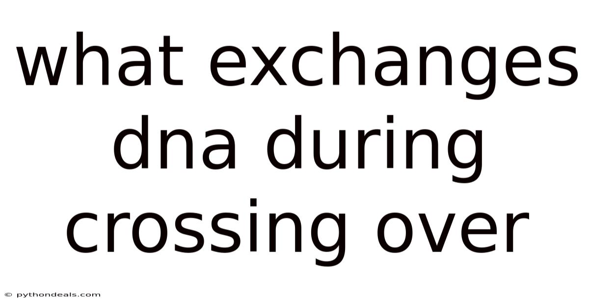 What Exchanges Dna During Crossing Over