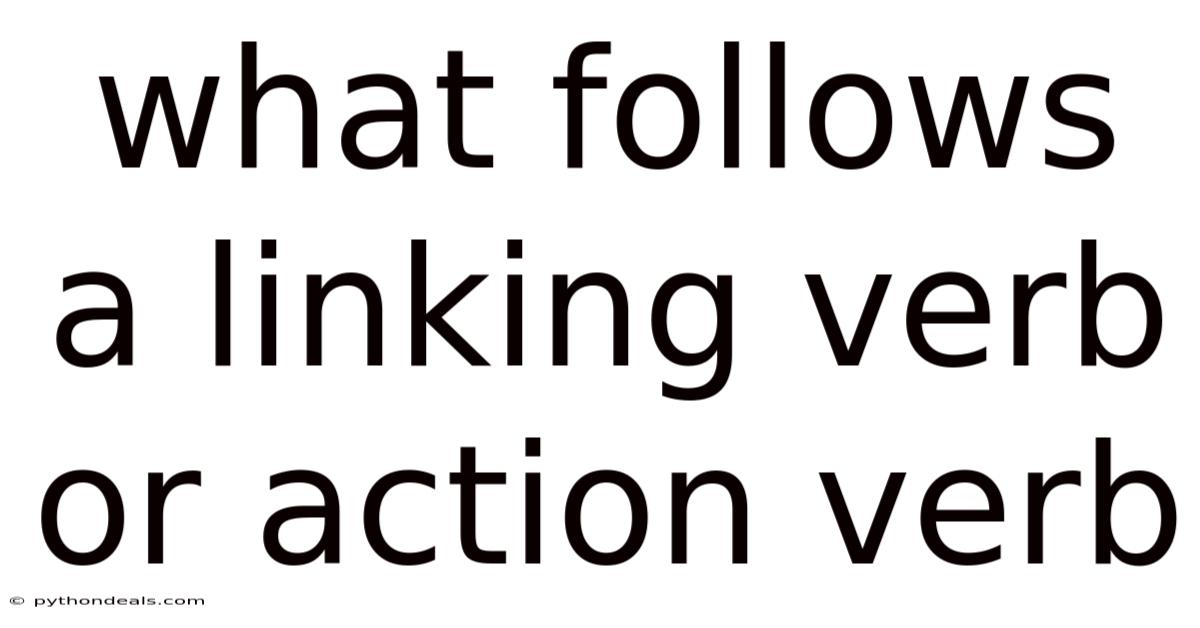 What Follows A Linking Verb Or Action Verb
