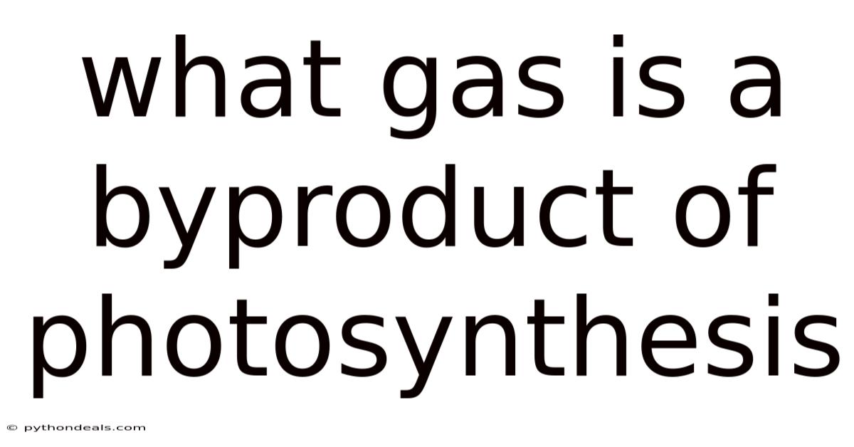 What Gas Is A Byproduct Of Photosynthesis