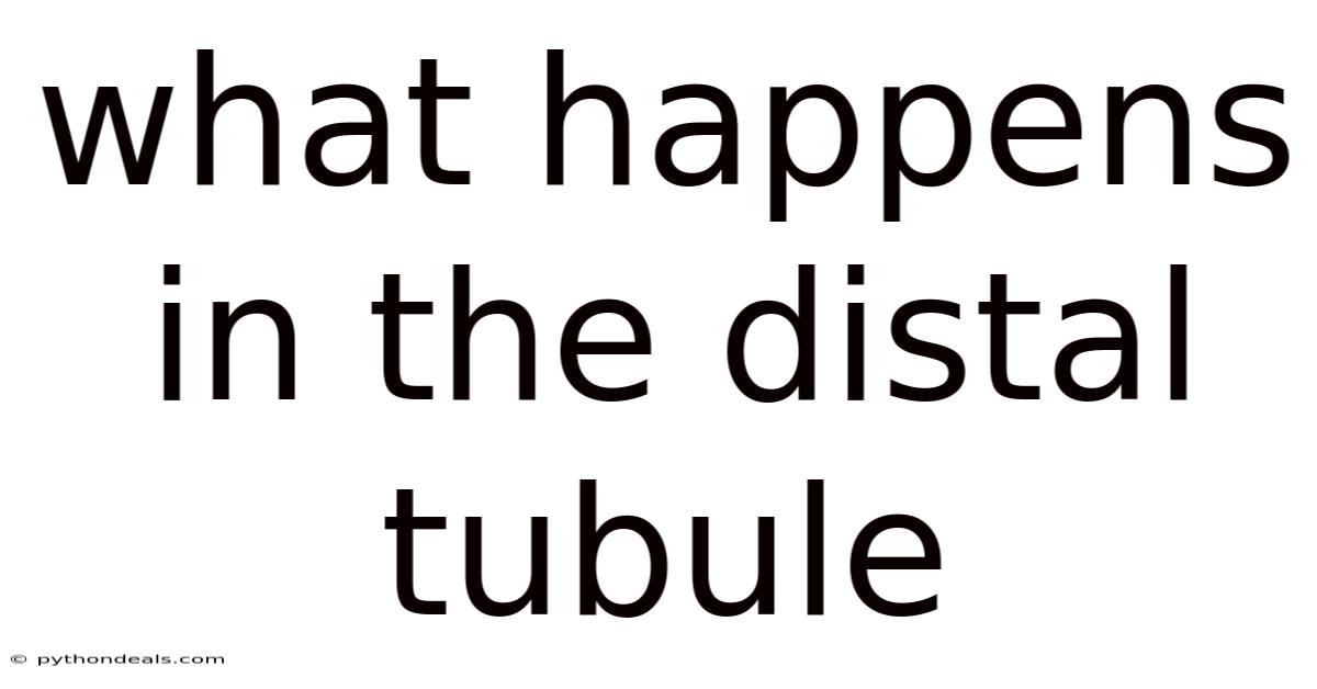 What Happens In The Distal Tubule