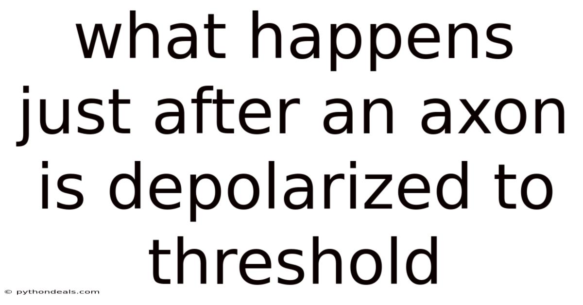 What Happens Just After An Axon Is Depolarized To Threshold