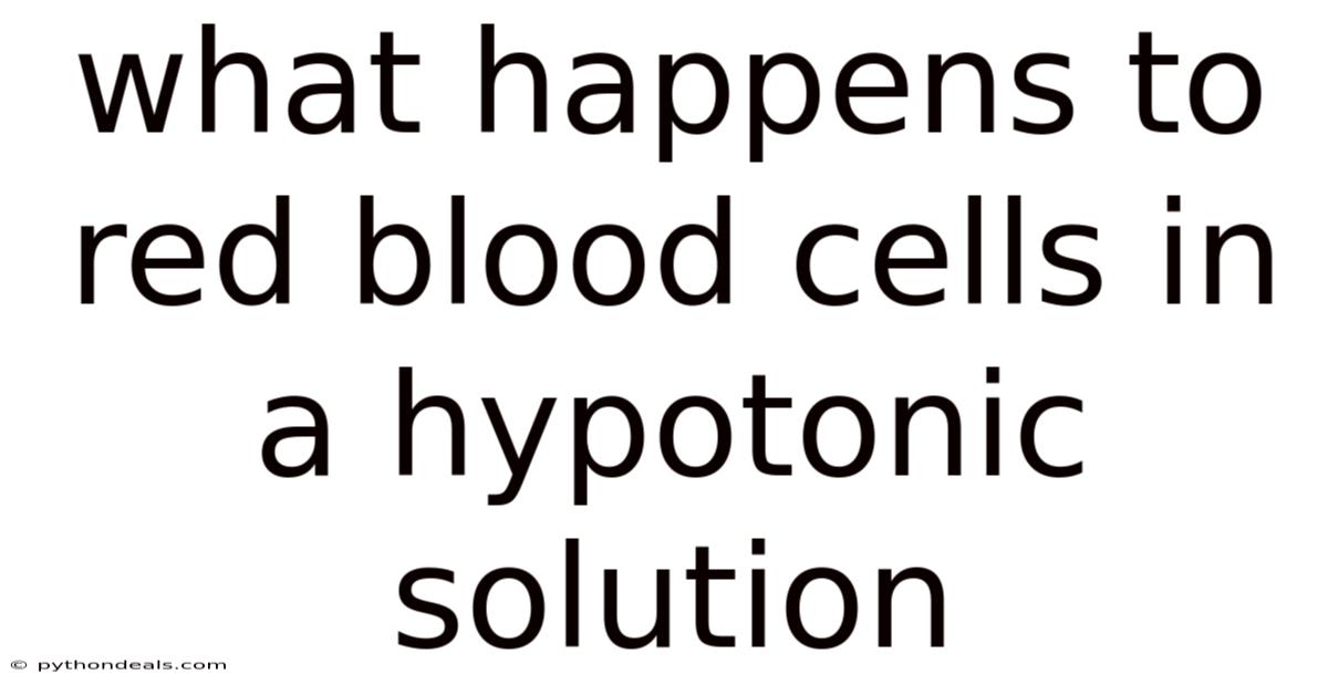 What Happens To Red Blood Cells In A Hypotonic Solution