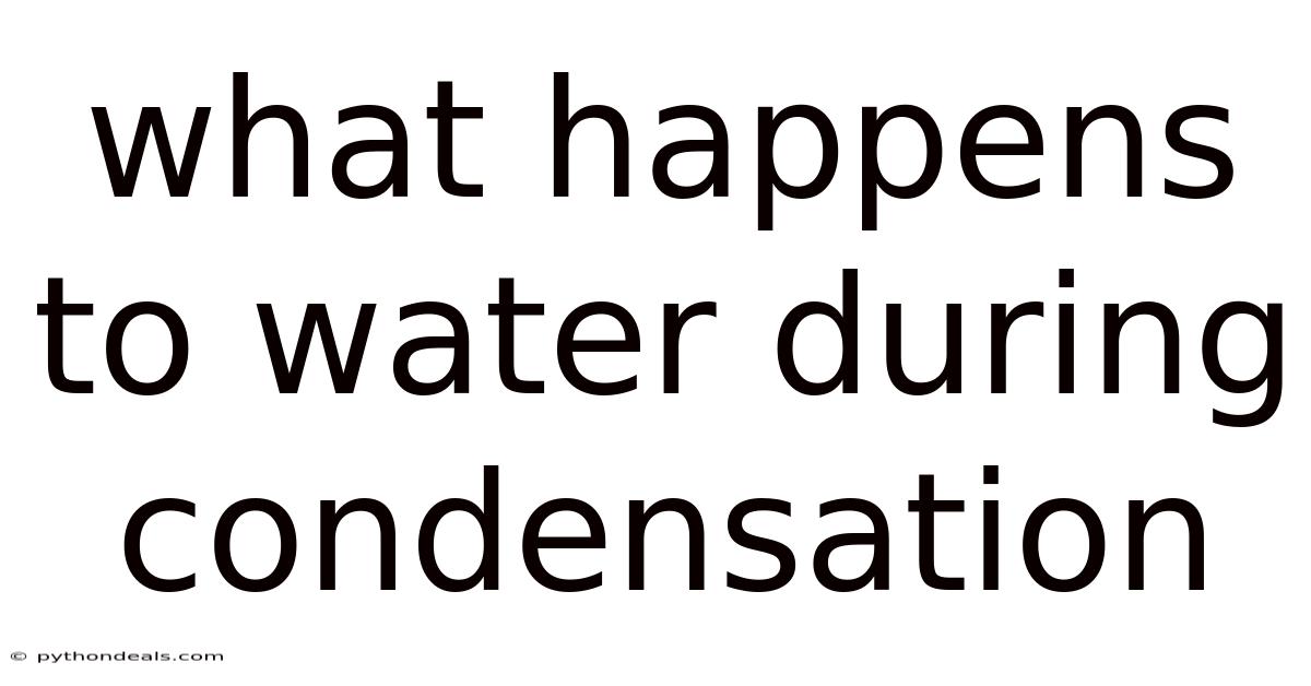 What Happens To Water During Condensation