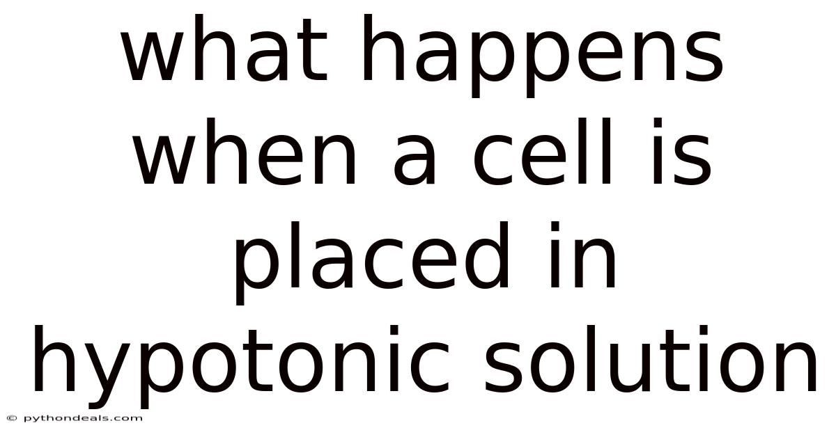 What Happens When A Cell Is Placed In Hypotonic Solution