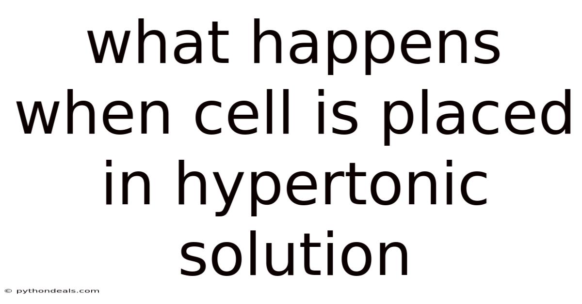 What Happens When Cell Is Placed In Hypertonic Solution