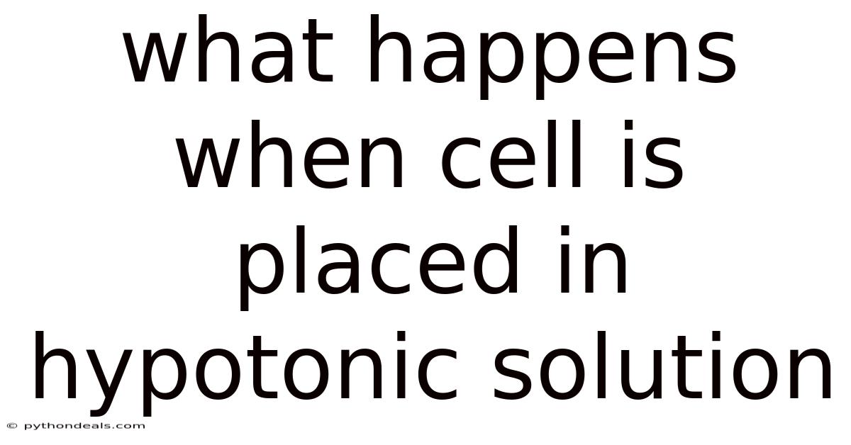 What Happens When Cell Is Placed In Hypotonic Solution