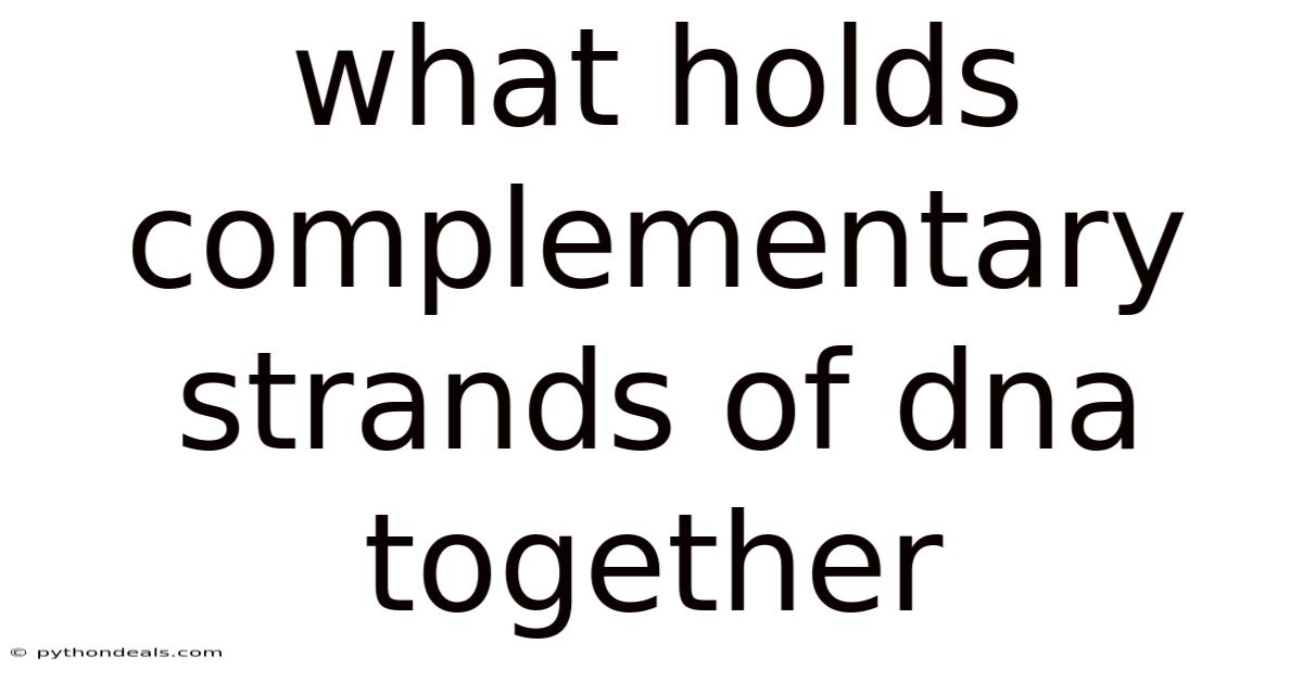 What Holds Complementary Strands Of Dna Together