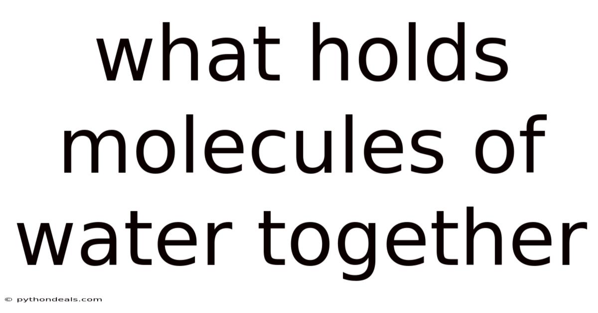 What Holds Molecules Of Water Together
