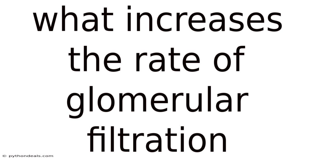 What Increases The Rate Of Glomerular Filtration
