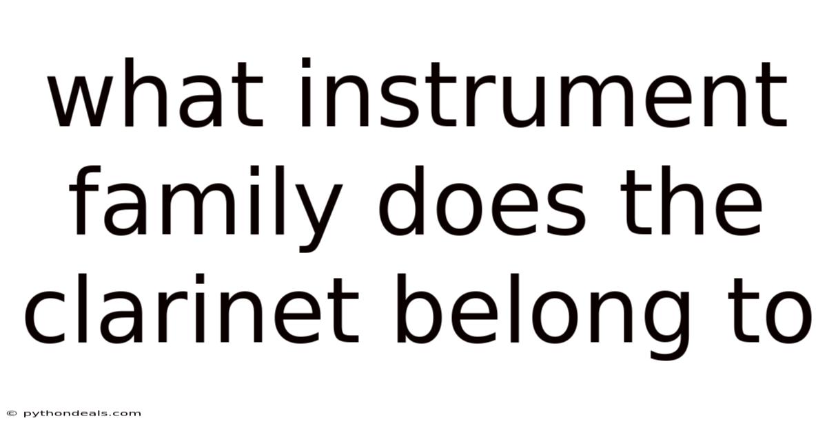 What Instrument Family Does The Clarinet Belong To
