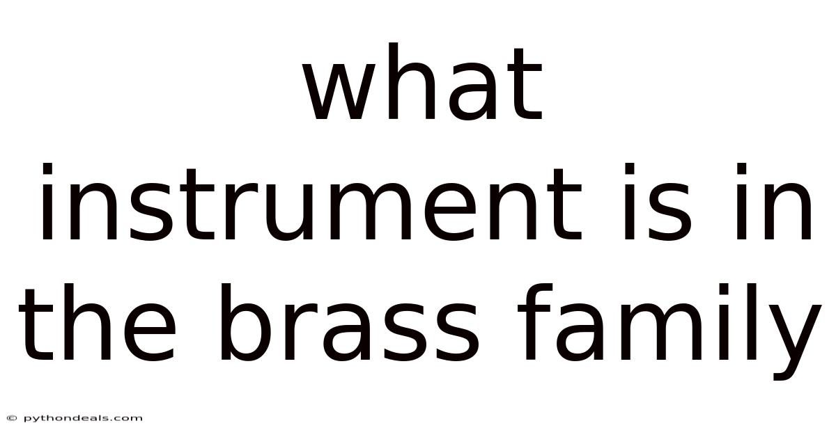 What Instrument Is In The Brass Family