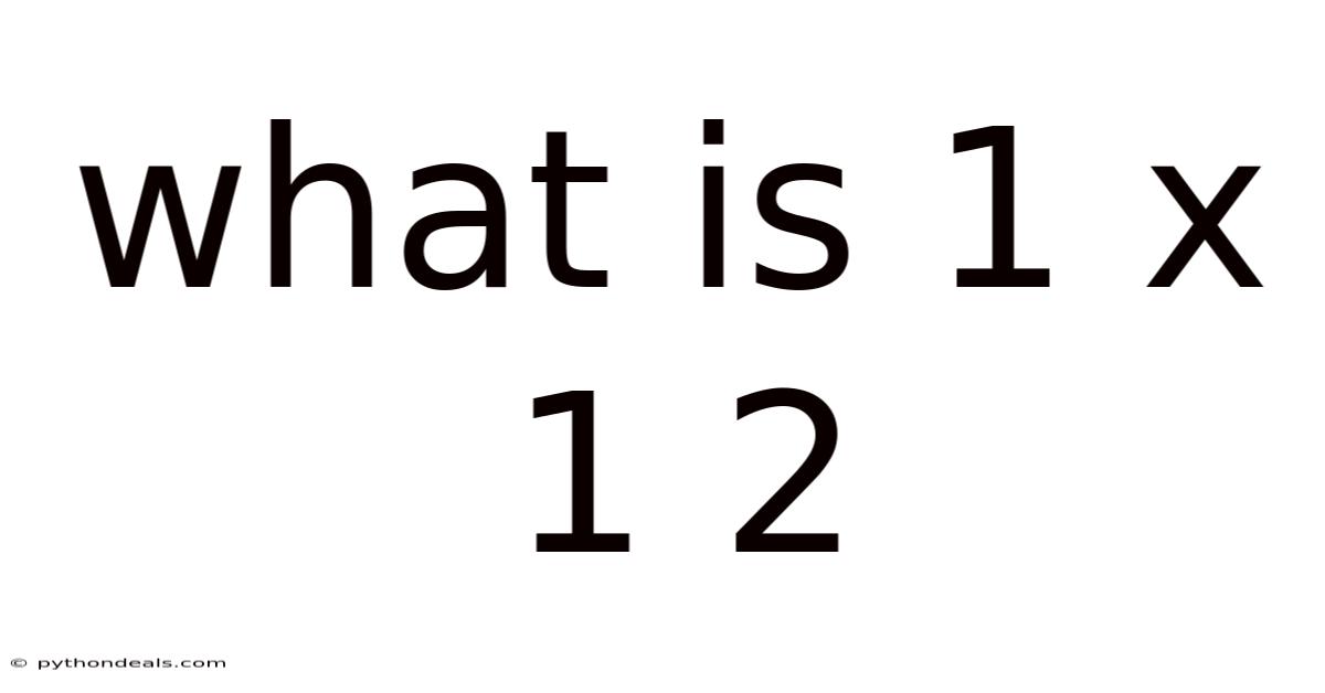 What Is 1 X 1 2