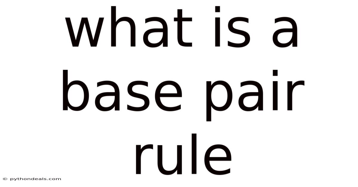 What Is A Base Pair Rule