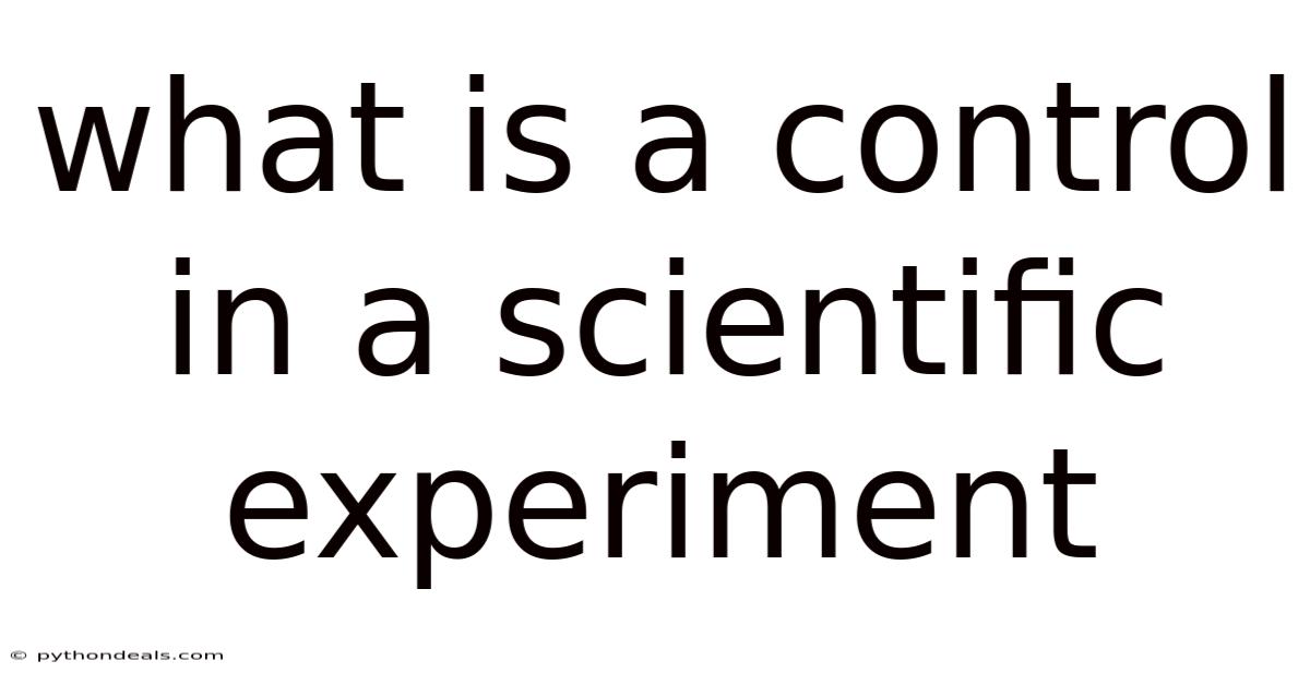 What Is A Control In A Scientific Experiment
