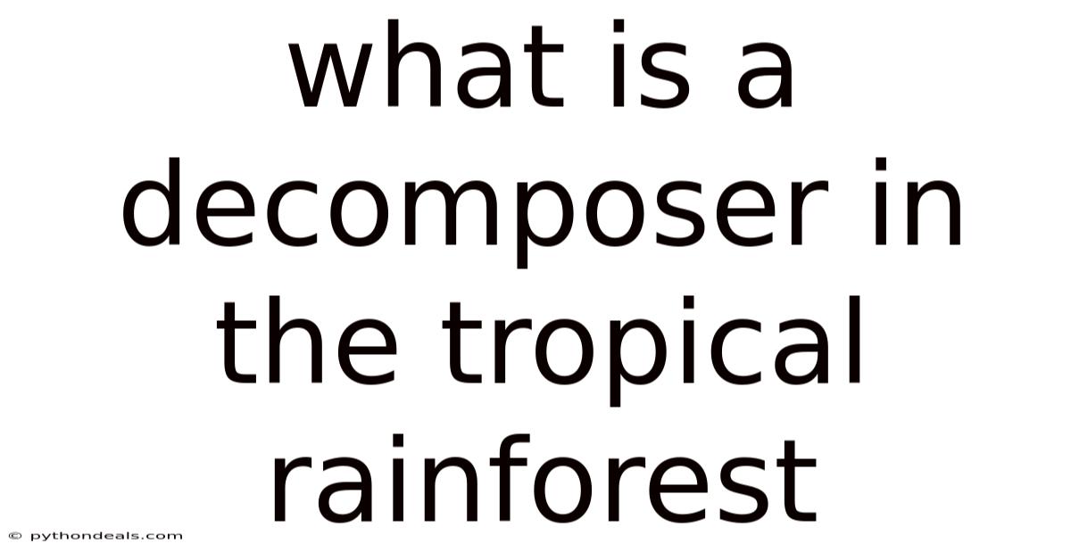 What Is A Decomposer In The Tropical Rainforest