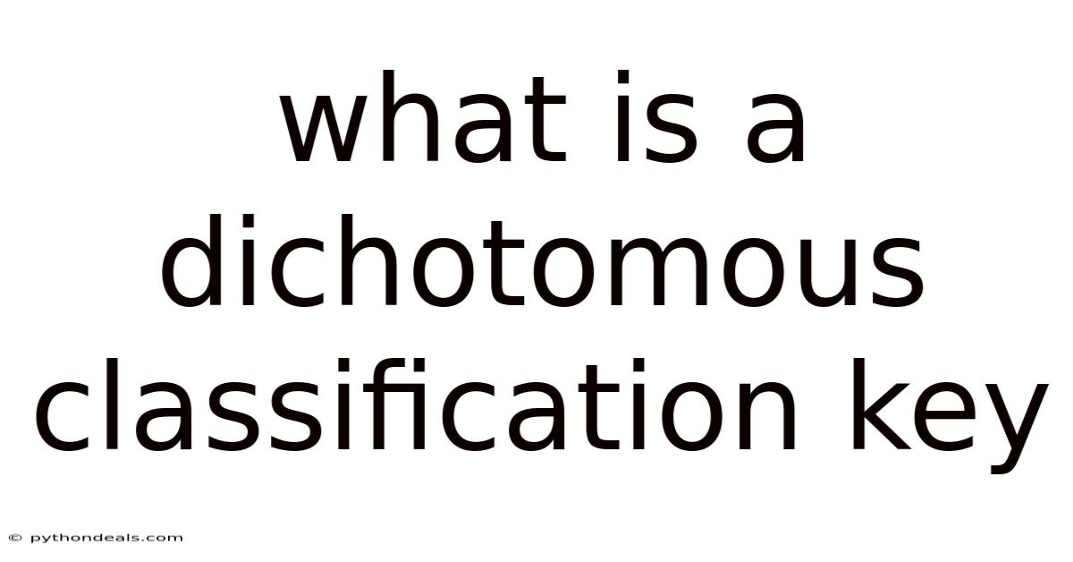 What Is A Dichotomous Classification Key