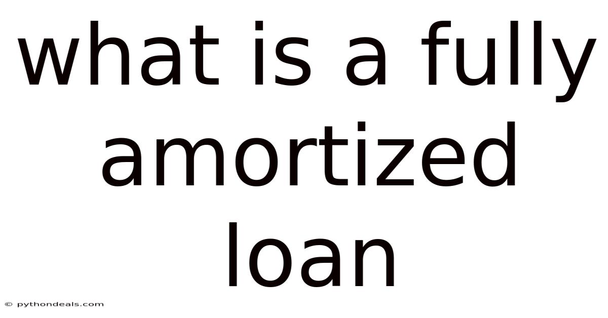 What Is A Fully Amortized Loan