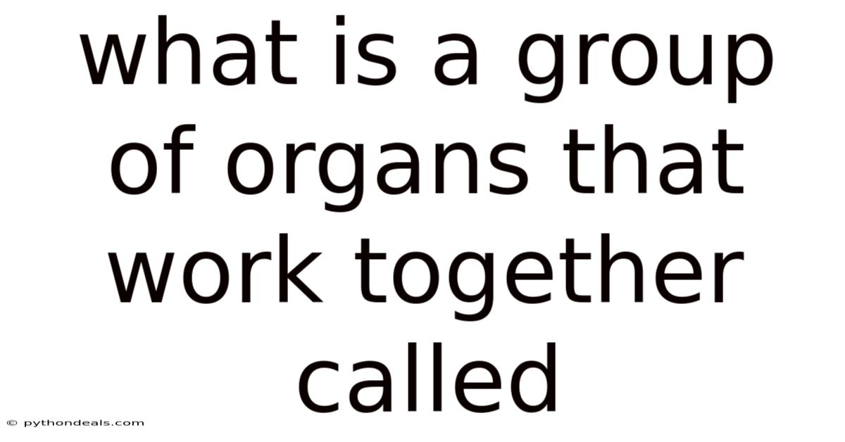 What Is A Group Of Organs That Work Together Called