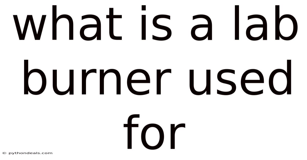 What Is A Lab Burner Used For